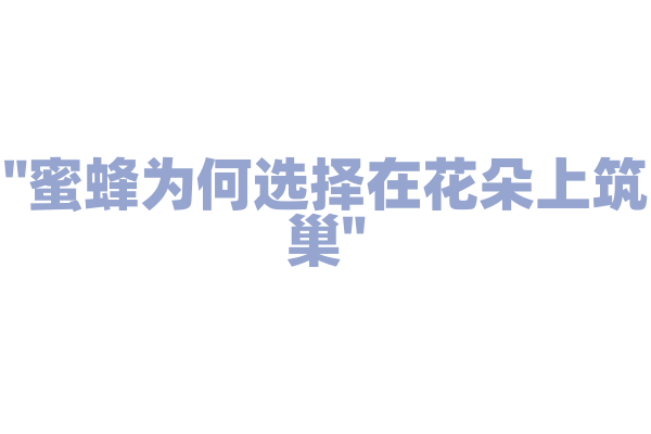 "蜜蜂为何选择在花朵上筑巢"